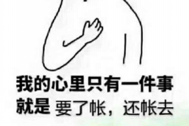 江津企业清欠服务